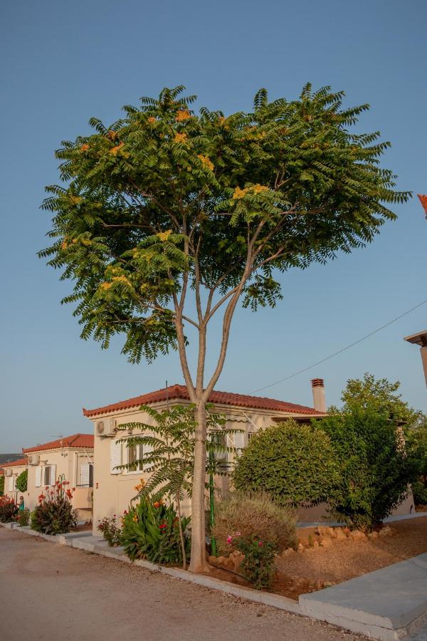 Lagouvardos Apartments Marathopoli Luaran gambar